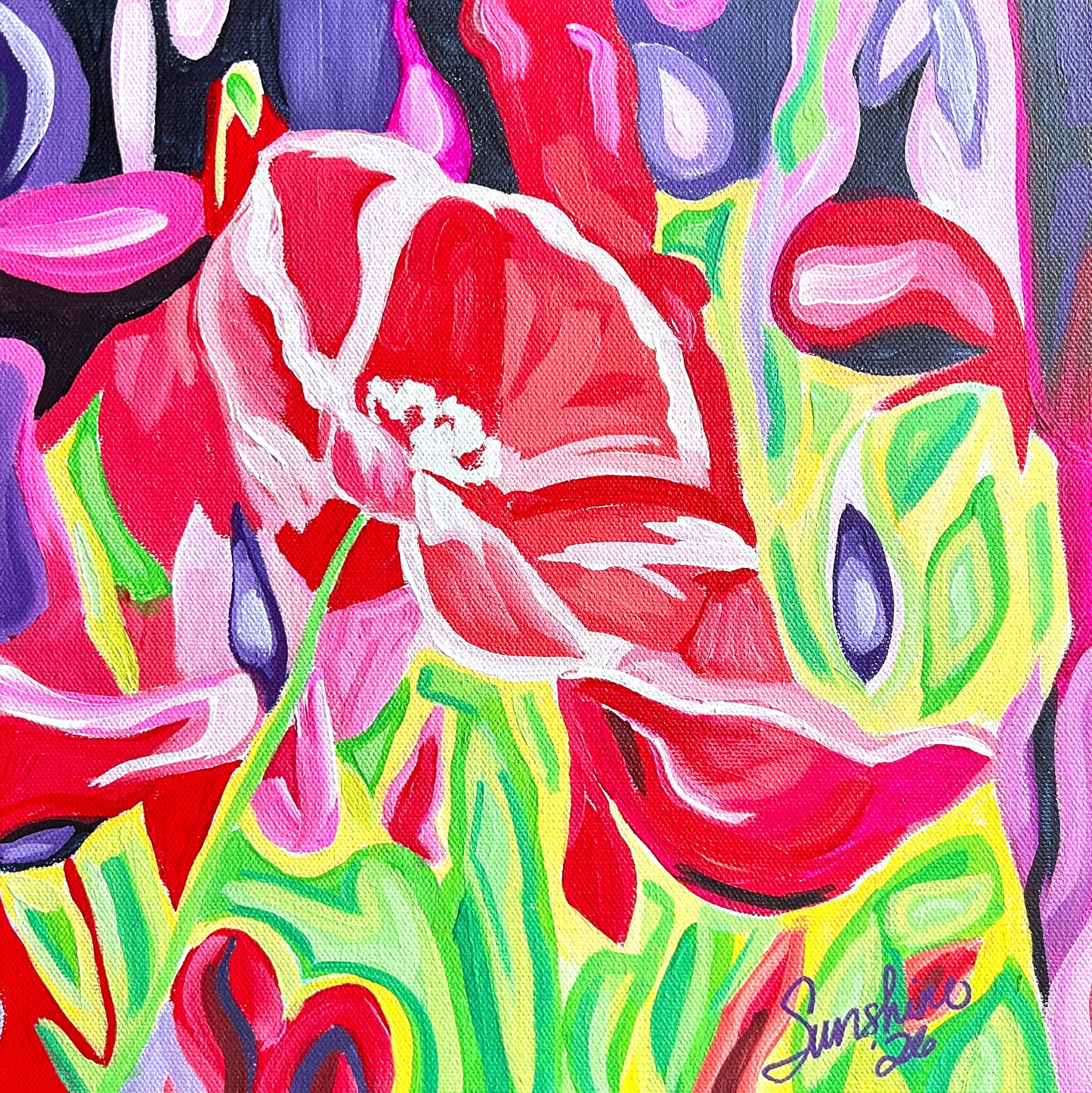 Bold & Poppy